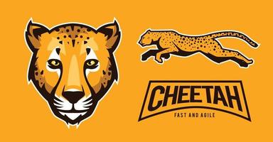 illustrazione del ghepardo per la risorsa logo vettore