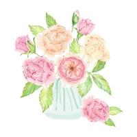 bouquet di rose inglesi rosa disegnato a mano ad acquerello in vetro isolato su sfondo bianco vettore