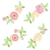 acquerello bellissimo bouquet di fiori di rosa inglese isolato su sfondo bianco vettore