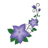 fiore di colore viola con foglie disegno vettoriale illustrazione