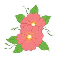 natura fiore rosa corniolo cornus florida, vettore botanico giardino floreale foglia pianta.