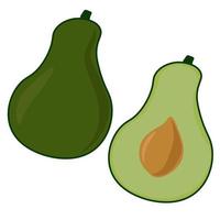 avocado, intero e mezzo, un popolare ortaggio verde vettore