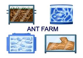 impostare fattorie di formiche isolati su sfondo bianco. diversi tipi formicaria da gesso, terra, legno, gel. vettore