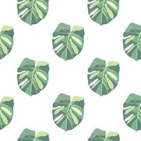 modello di doodle esotico isolato senza cuciture con foglie verdi di monstera. sfondo bianco. design semplice. vettore