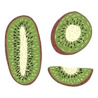 impostare kiwi isolato su sfondo bianco. cartone animato carino frutta tropicale metà, metà tondo e fetta. vettore