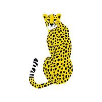 il ghepardo selvatico ha individuato la grafica del ritratto di un grande gatto vettore