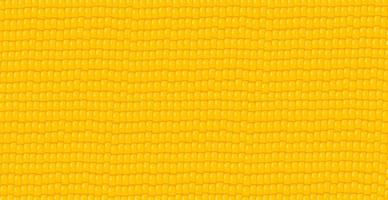 panoramico giallo - sfondo di grano di mais arancione - vettore