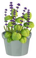 Fiori di lavanda in vaso di fiori vettore