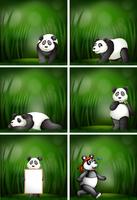 Una serie di panda vettore