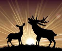 sagoma un canguro e cervo in piedi nel luminoso crepuscolo vettore
