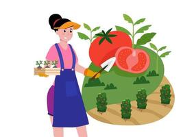 la ragazza ha portato la pianta di pomodoro in crescita. vieni a piantarlo nel terreno nella tua fattoria o giardino. vettore di illustrazione del fumetto in stile piatto
