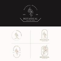 logo disegnato a mano di elemento floreale botanico con fiori selvatici e foglie. logo per spa e salone di bellezza, boutique, negozio biologico, matrimonio, designer floreale, interni, fotografia, cosmetici. vettore