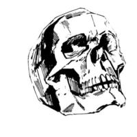 illustrazione vettoriale del cranio umano dipinta a mano in stile inchiostro