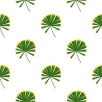 isolato semplice natura modello senza cuciture con doodle sagome di palma verde licuala. sfondo bianco. vettore