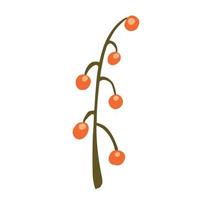 bacche sul ramoscello isolato su sfondo bianco. schizzo di colore rosso bacca botanica astratto disegnato a mano in stile doodle. vettore