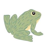 rana isolata su sfondo bianco. simpatico personaggio seduto con la schiena. rettile d'acqua tropicale verde. vettore