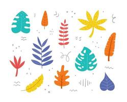 set di foglie esotiche disegnate a mano. foglie di palma, banana, monstera, aralia. elementi di design botanico. illustrazione vettoriale. vettore