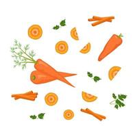 set di icone di carote. cibo sano, verdura intera arancione, tagliata a cerchi, fette, parti e bastoncini e foglie di prezzemolo. fonte di vitamine A. illustrazione piatta vettoriale
