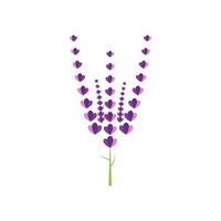 design piatto di vettore di logo di fiori di lavanda fresca