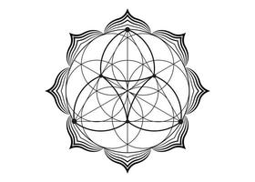 seme fiore della vita icona di loto, yantra mandala geometria sacra, tatuaggio simbolo di armonia ed equilibrio. talismano mistico, vettore di linee nere isolato su sfondo bianco