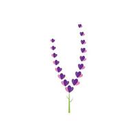 design piatto di vettore di logo di fiori di lavanda fresca