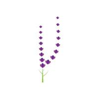 design piatto di vettore di logo di fiori di lavanda fresca