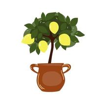 pianta domestica dell'albero di limone vettore