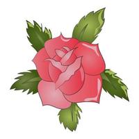 illustrazione di fiori di rosa vettore