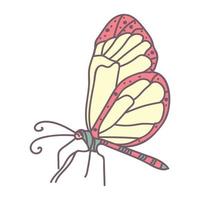 disegno vettoriale farfalla