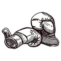 schizzo di guantoni da boxe isolato. attrezzature sportive per la boxe in stile disegnato a mano. vettore