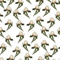 modello doodle senza cuciture isolato con ornamento di fiori di iris verde casuale. sfondo bianco. vettore