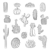 collezione di cactus isolata su sfondo chiaro in stile disegnato a mano. set di cactus selvatici in stile schizzo. piante succulente del deserto. vettore