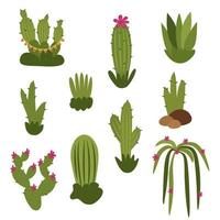 cactus, un simpatico set di diversi tipi. illustrazione vettoriale isolato su uno sfondo bianco.