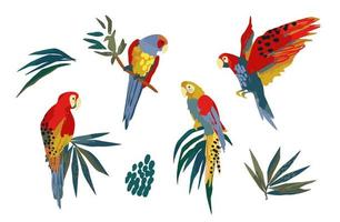 illustrazioni vettoriali di pappagalli e foglie tropicali. clipart, elementi isolati.