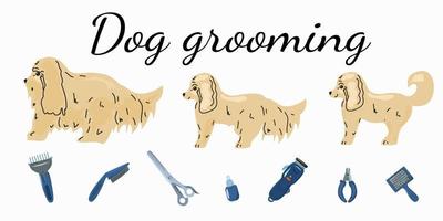 un poster con una foto di cani e strumenti per il loro taglio di capelli. vettore