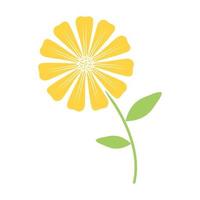 colorato fiore giallo margherita logo simbolo icona vettore illustrazione graphic design