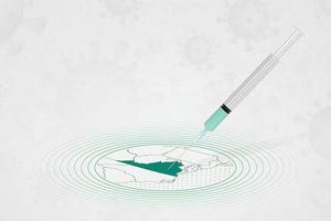 concetto di vaccinazione della virginia, iniezione di vaccino nella mappa della virginia. vaccino e vaccinazione contro il coronavirus, covid-19. vettore