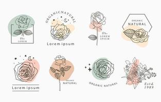 collezione occulta di bellezza con geometrica, rosa, luna, stella, fiore. illustrazione vettoriale per icona, adesivo, stampabile e tatuaggio