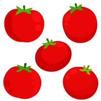 pomodoro. verdura rossa vettore