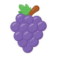 grappolo d'uva, frutto antiossidante naturale vettore