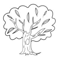 albero disegnato a mano di doodle del fumetto isolato su priorità bassa bianca. stile infantile. icona del bosco di schizzo. vettore