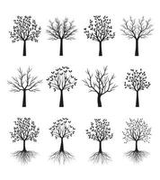 collezione di alberi. illustrazione del contorno vettoriale. pianta in giardino. vettore