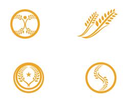 Modello di logo del grano di agricoltura, progettazione sana dell&#39;icona di vettore di logo di vita