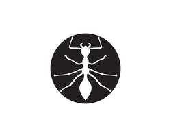 Progettazione dell&#39;illustrazione di vettore del modello di Logo della formica