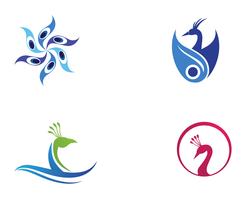 icona logo modello testa di pavone e simboli icona app vettore