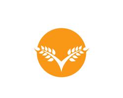 Modello di logo del grano di agricoltura, progettazione sana dell&#39;icona di vettore di logo di vita