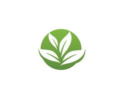 icona di vettore di foglia verde ecologia natura elemento