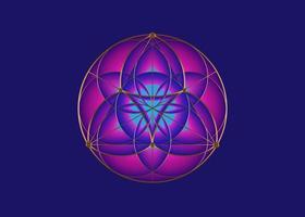 seme fiore della vita icona di loto, yantra mandala geometria sacra, simbolo d'oro di armonia ed equilibrio. talismano mistico di colore viola, vettore di linee d'oro isolato su sfondo blu