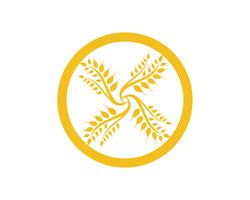 Progettazione dell&#39;icona di vettore del modello di Logo del grano dell&#39;agricoltura