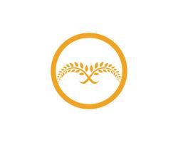 Agricoltura grano Logo Template vettoriale icona design app